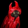Coca avatar