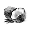 🥥 CoCoNut avatar