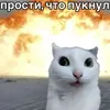 ULTRA KILLER HUNTER avatar