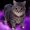 Hoopsy avatar