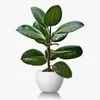 ficus avatar