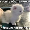 404 avatar