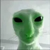 Trayder avatar