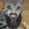 WhiteXrist avatar