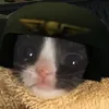 Zhaedu avatar