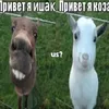 deukyn avatar