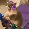 На аве - Ты. avatar
