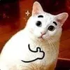 @Flind.! avatar