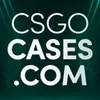 ♕NO1CE CSGOSKINS cs2cases.pro avatar