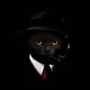 ™TM™ avatar