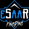 eSaaR | PingDing avatar