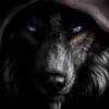 Mr. Wolfy avatar