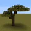 акация avatar