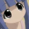 moonturtle avatar