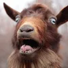 ★彡GOAT MAN彡★ avatar