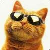 마현이 avatar
