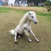 Pony avatar
