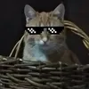 R0se SashaMHV avatar
