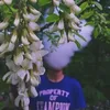 kTT avatar