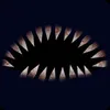 Stasiek avatar