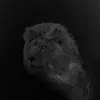 Ejefad* avatar