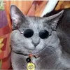 OMID_SPS avatar