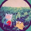 -t0k avatar