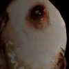 aderolchik13 avatar