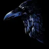 Kruk avatar