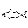 snikkel avatar