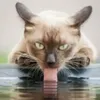 Desmond avatar