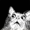 D[i]M[e]X avatar