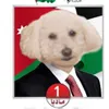 TinkleBallSniff avatar