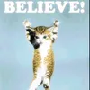 Lego Movie Cat Poster avatar