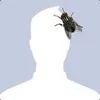 YamOrdI avatar