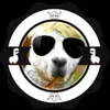 ✪ Alpaca avatar