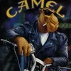 TheSmokingCamel avatar