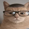 DU BIST GUT GENUG avatar