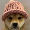 欲望 STEJSKi avatar