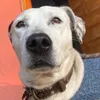 enej0ta avatar