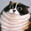 4Valp avatar