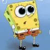 SponGe avatar
