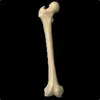 aleksey_pupkin avatar