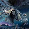(✿◠‿◠) avatar