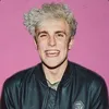 76561198336029776 avatar