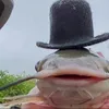 Mr.Fish avatar