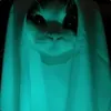 Dirty Nutte avatar