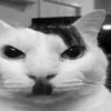 giedrelio avatar