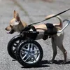 Disabled K9 Unit avatar