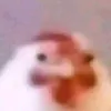 Glorious Chicken Nugget avatar